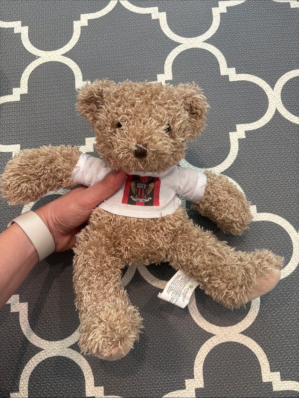 NEW France OGC NICE teddy bear